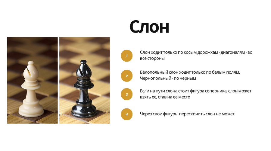 Bishop