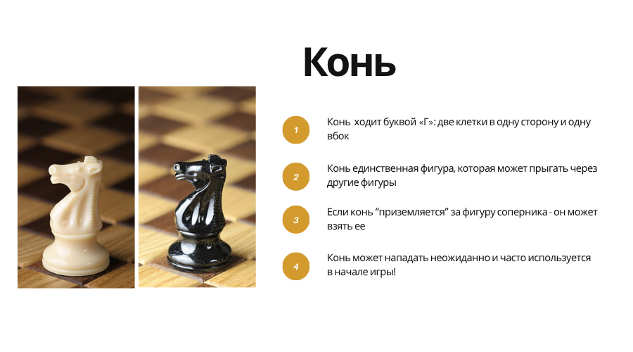 Knight