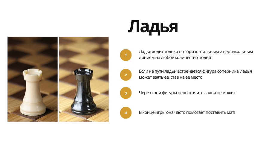 Rook